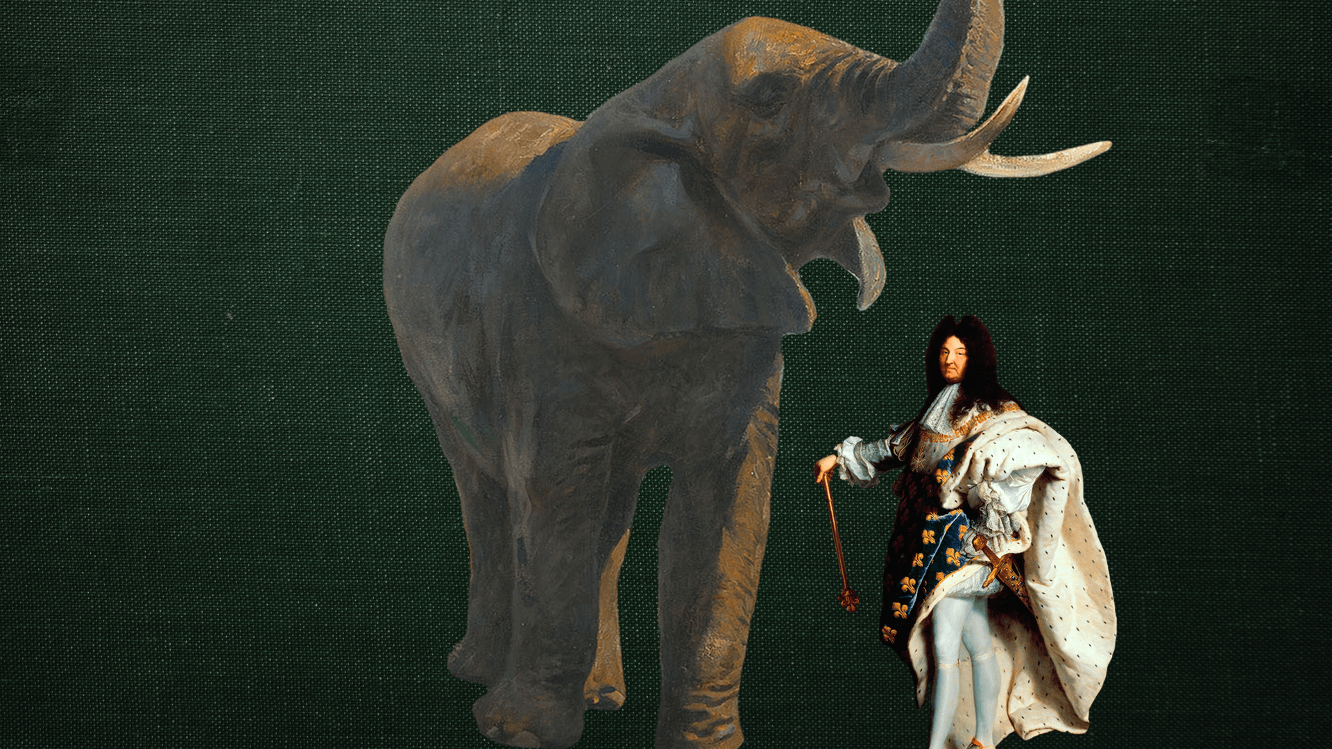El Elefante Del Rey Luis Xiv 🐘👑 Juan Camilo Vergara Phd 2496